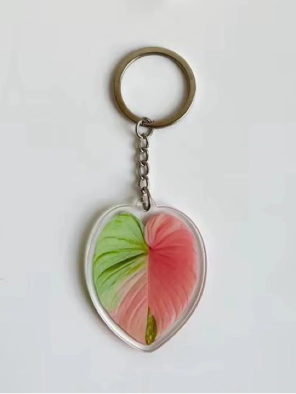 Variegated Anthurium Heart Leaf Acrylic Keychain - Pink & Green - Silver - NEW!